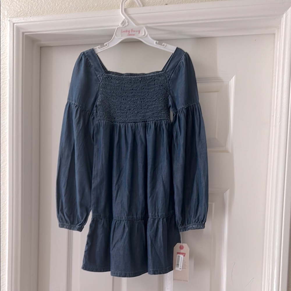 Levi's Blue Pleated Sundress with Bishop Sleeves